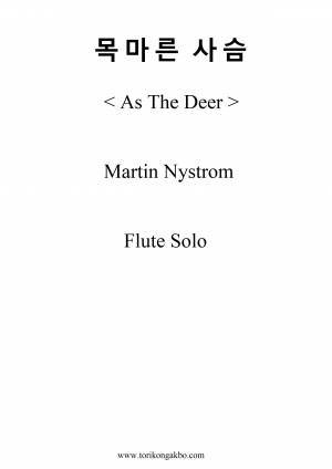 목마른 사슴 Flute Solo + Mr