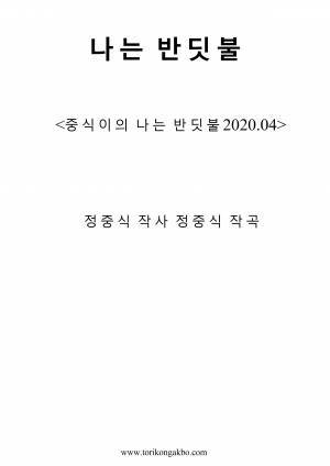 나는 반딧불 - Flute Solo + Mr